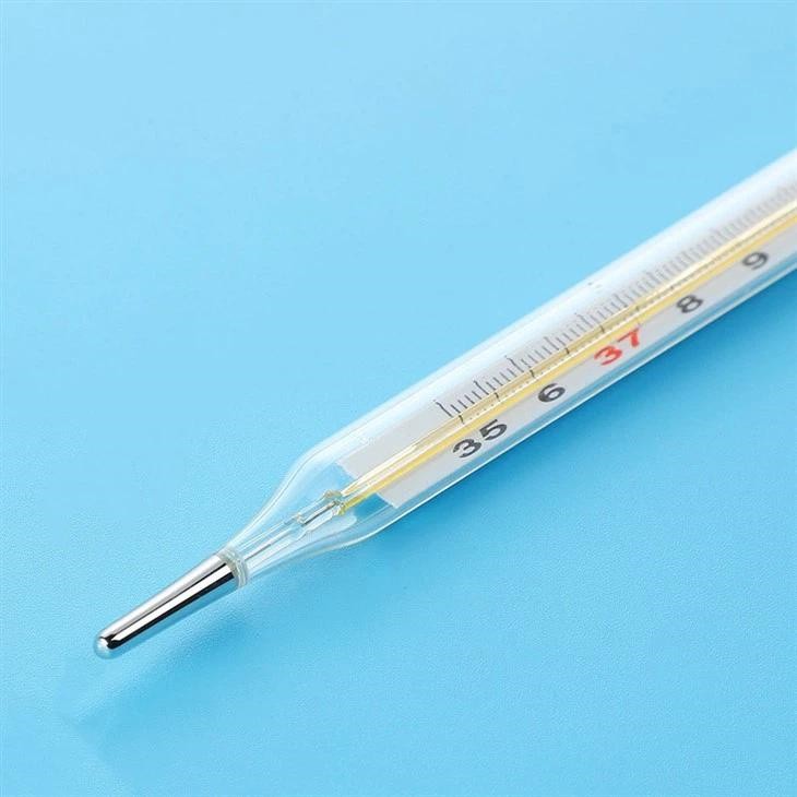Axillary Medium Mercury Glass Thermometer factory