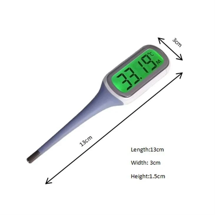 Digital Flexible Tip Thermometer best