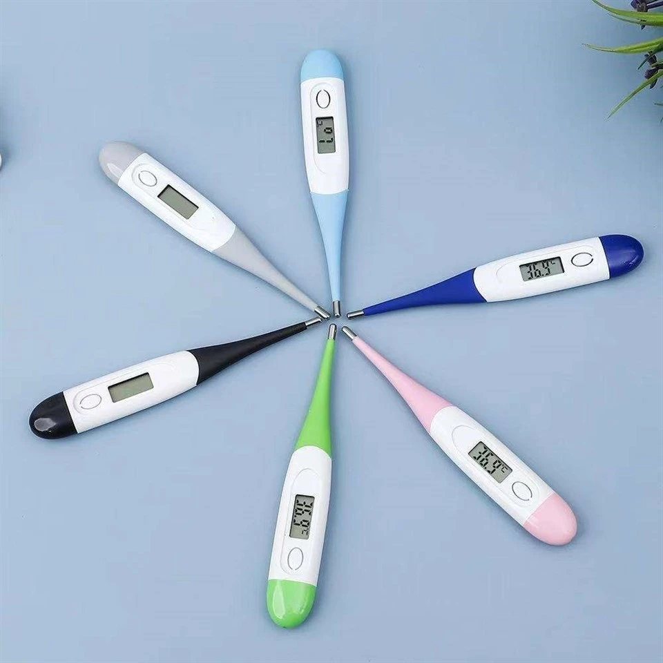 Portable Flexible Tip Thermometer best